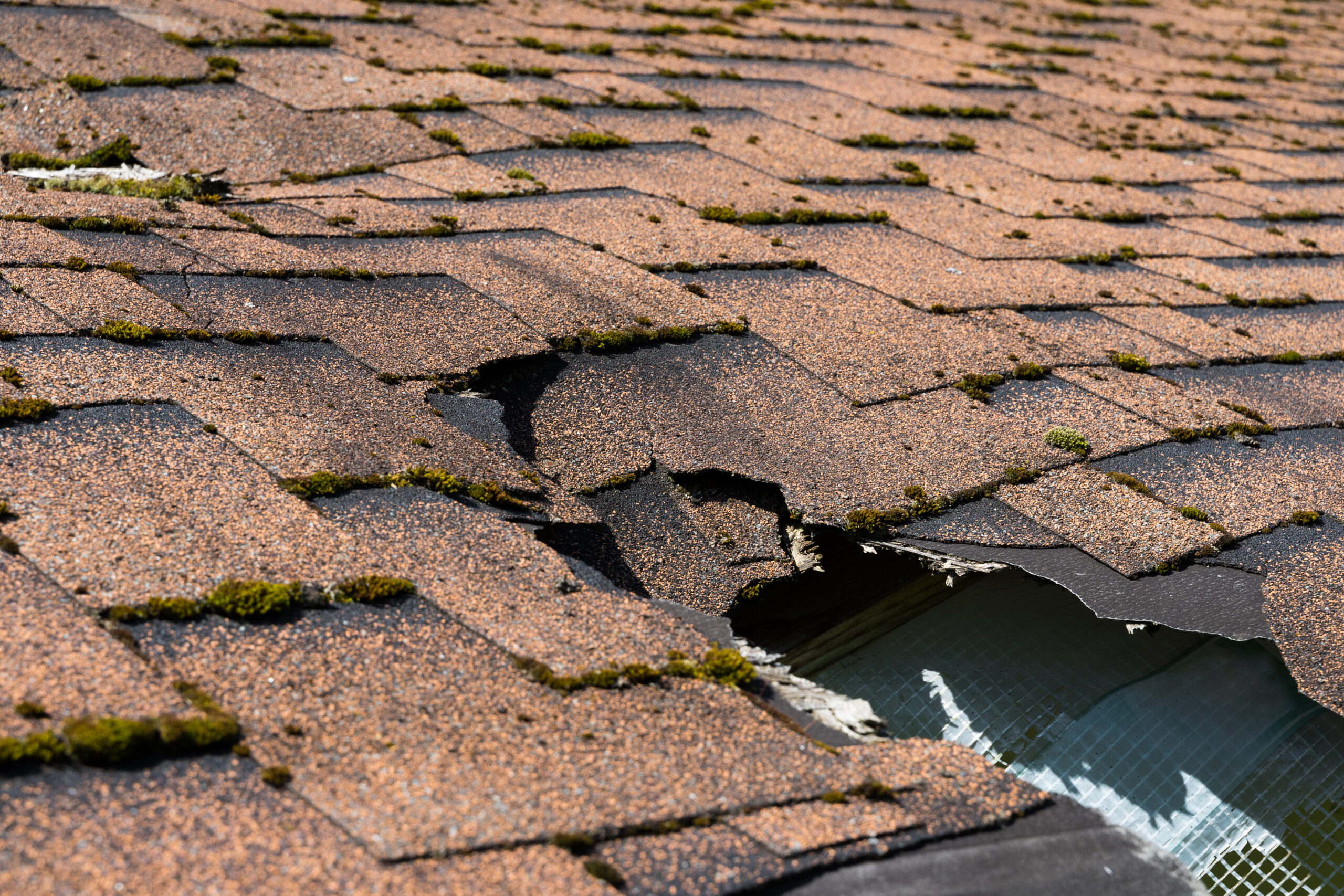 Navigating Insurance When Your Roof Is Damaged | Division 1